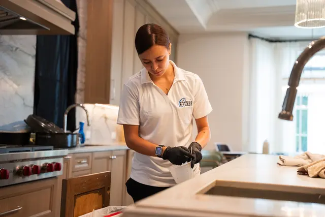 Sparkle & Shine Cleaning LA - LA House Cleaners — photo from the business 10