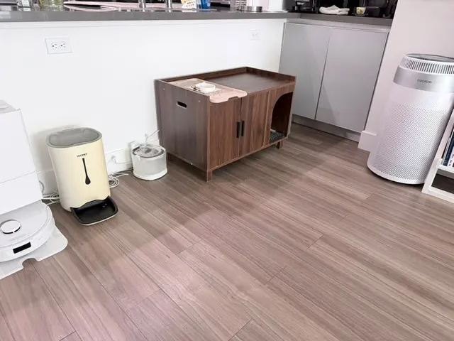 Ascend Cleaning — photo from the business 1