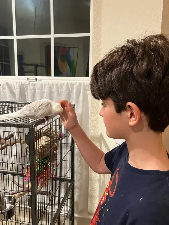Bay Area Parrot Rescue — customer photo 8