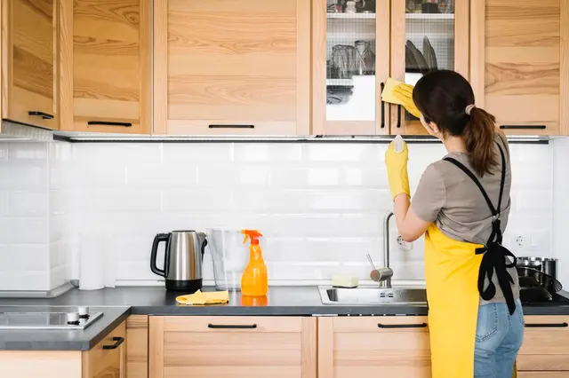 MaidThis Cleaning of Los Angeles — photo from the business 4
