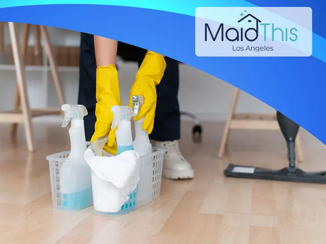 MaidThis Cleaning of Los Angeles — photo from the business 1