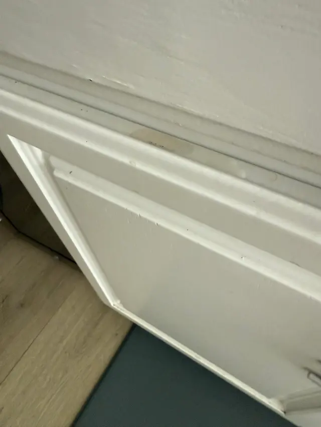 Customer photo from Dan's review