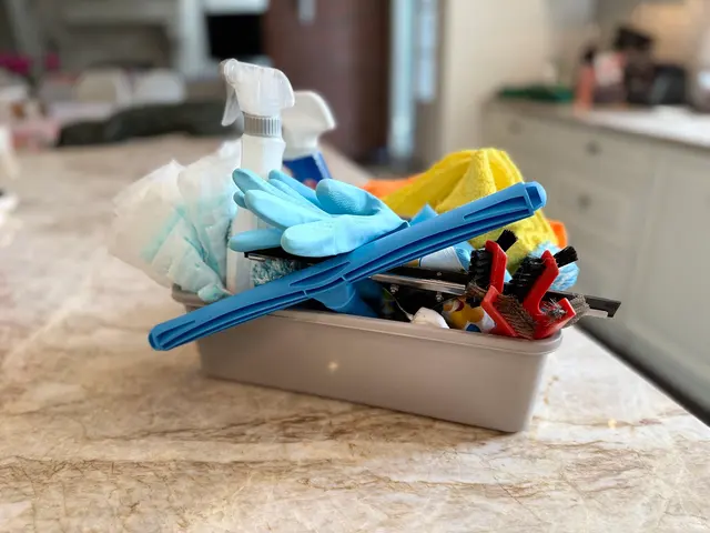 Rocket Maids LA Cleaning Services — photo from the business 1