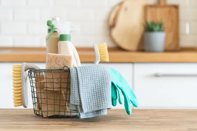 Rocket Maids LA Cleaning Services — photo from the business 6