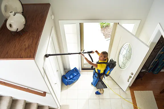The Maids in West Los Angeles — photo from the business 10