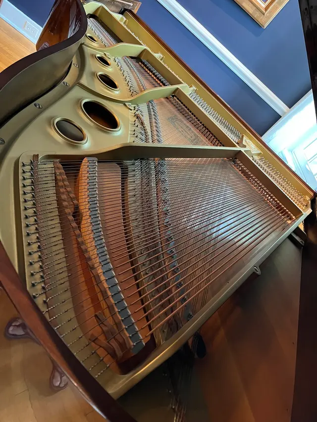 Jimmy Liu Piano Tuning — customer photo 5