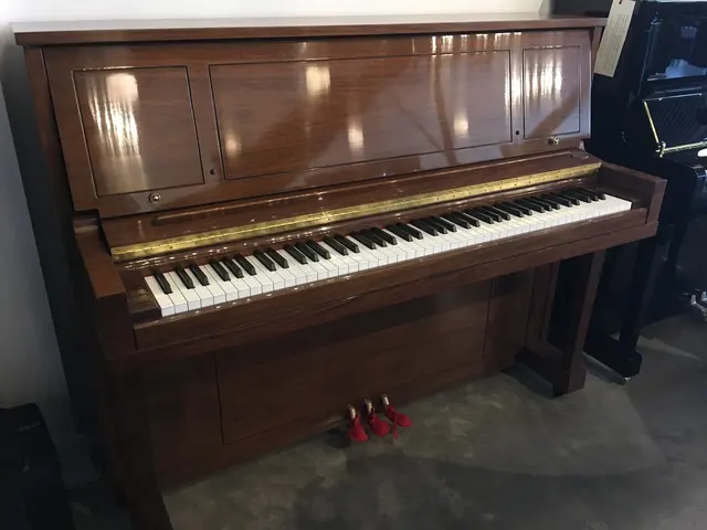 Fort Pitt Piano Co. — customer photo 6