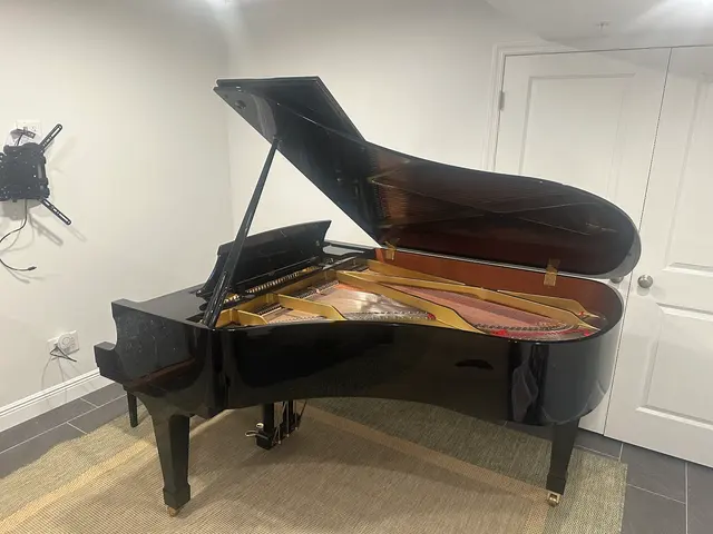 Fort Pitt Piano Co. — customer photo 4
