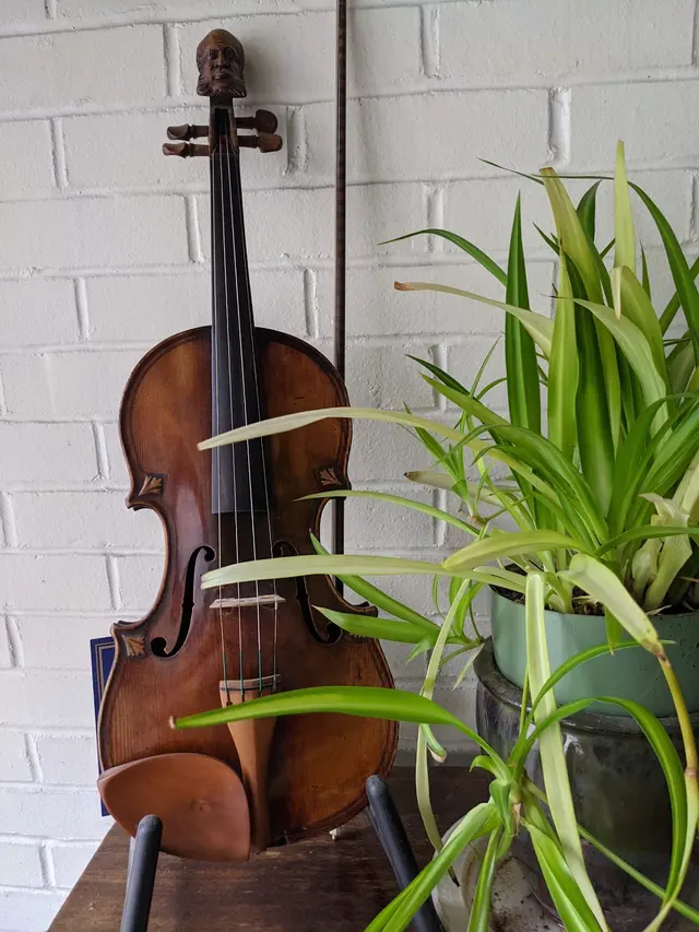 Phillip Injeian Violin Shop — photo from the business 5