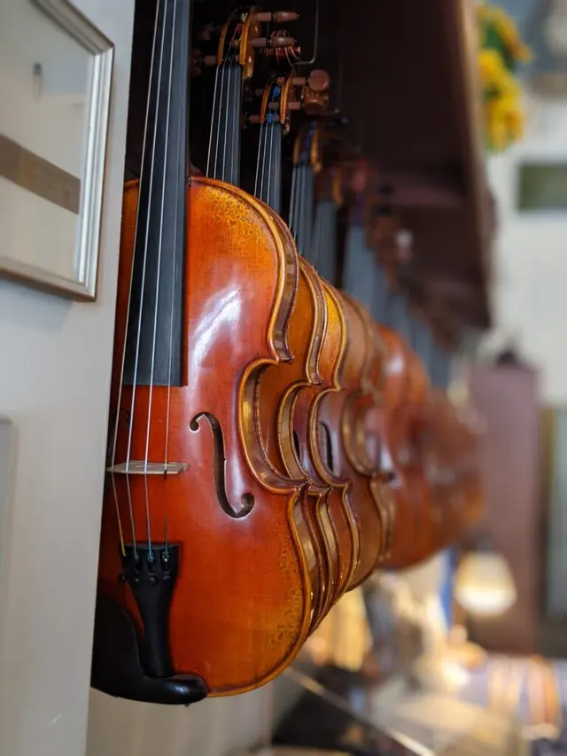 Phillip Injeian Violin Shop — photo from the business 4