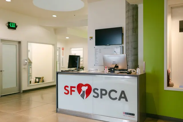 San Francisco SPCA Adoption Center — photo from the business 9
