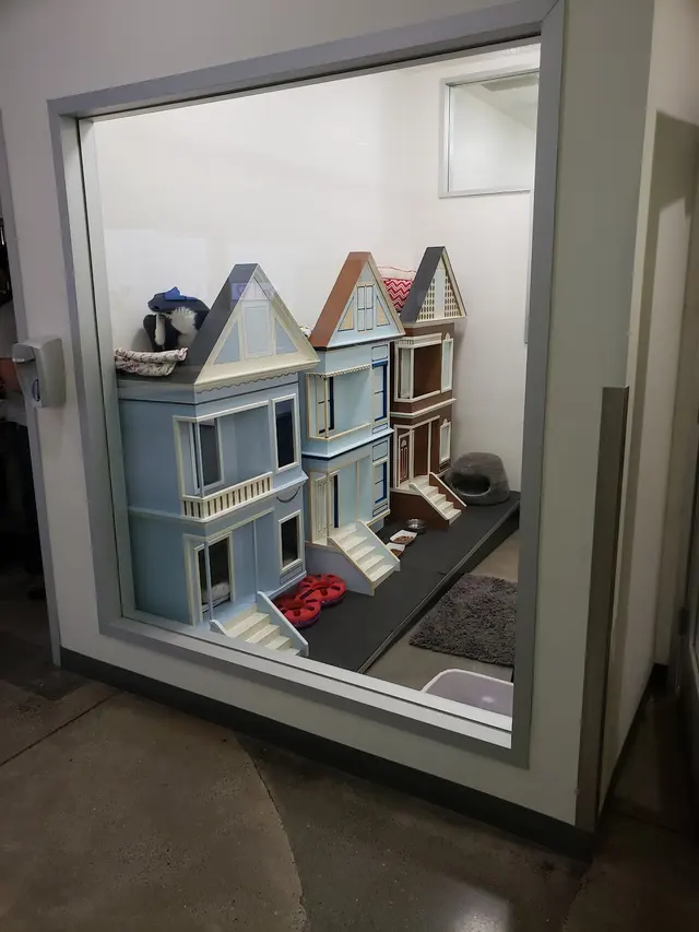 San Francisco SPCA Adoption Center — customer photo 11