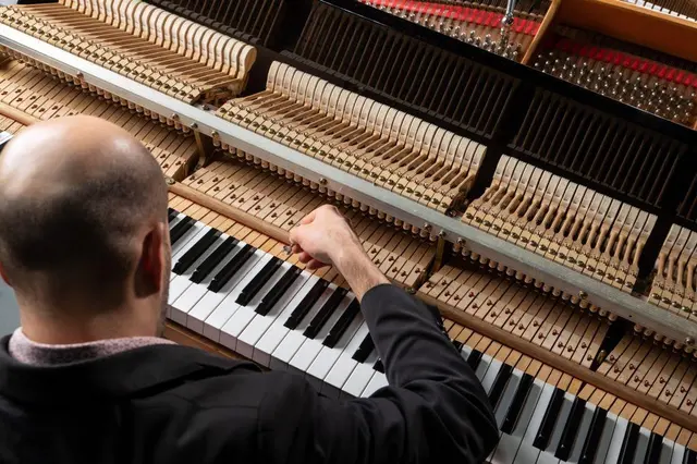 Luis Hernandez Piano Services — photo from the business 12