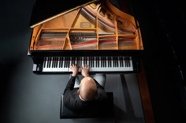 Luis Hernandez Piano Services — photo from the business 4