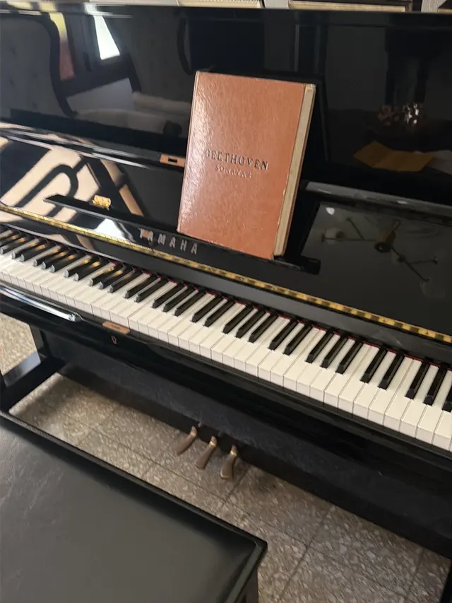 Customer photo of work by Luis Hernandez Piano Services, from JLR's review