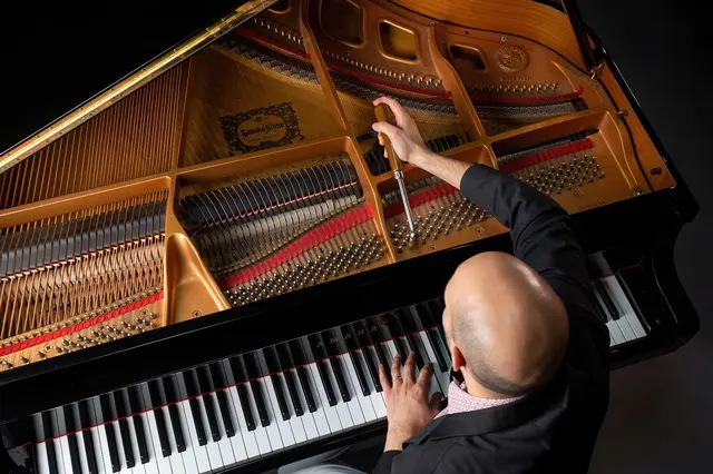 Luis Hernandez Piano Services — photo from the business 11
