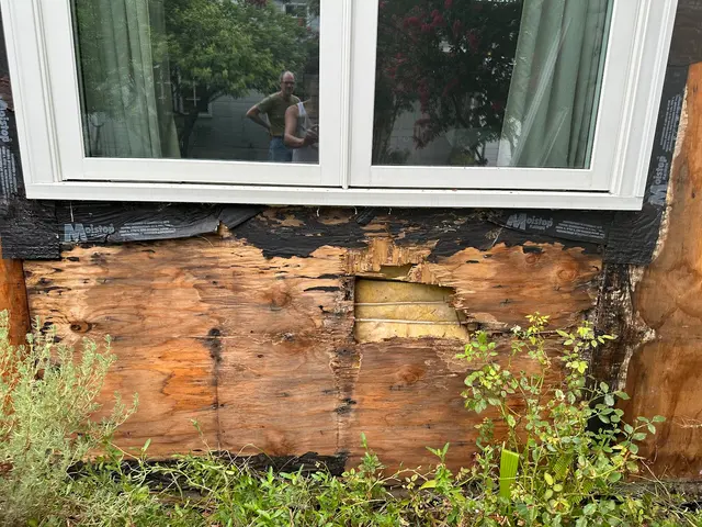 Renewal by Andersen of Greater Los Angeles — customer photo 8