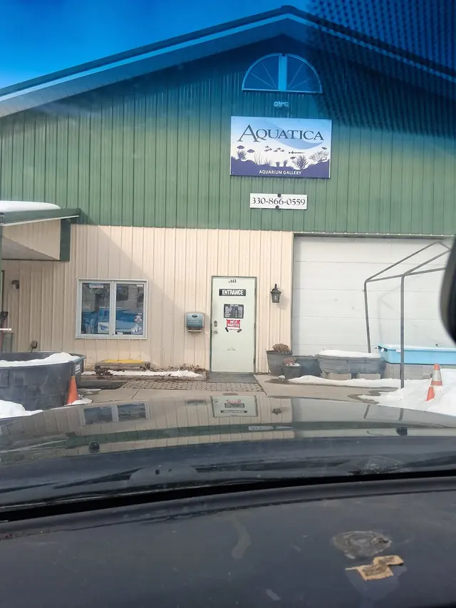 Aquatica Aquarium Gallery — customer photo 1