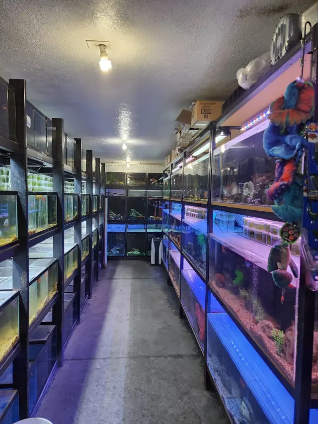 Aquatica Aquarium Gallery — photo from the business 3
