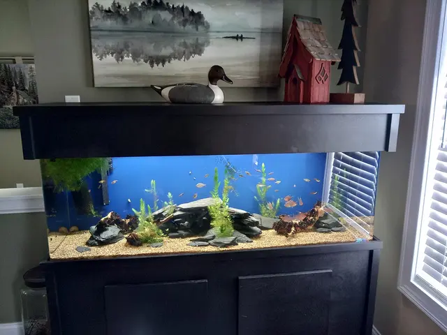Aquatica Aquarium Gallery — customer photo 6