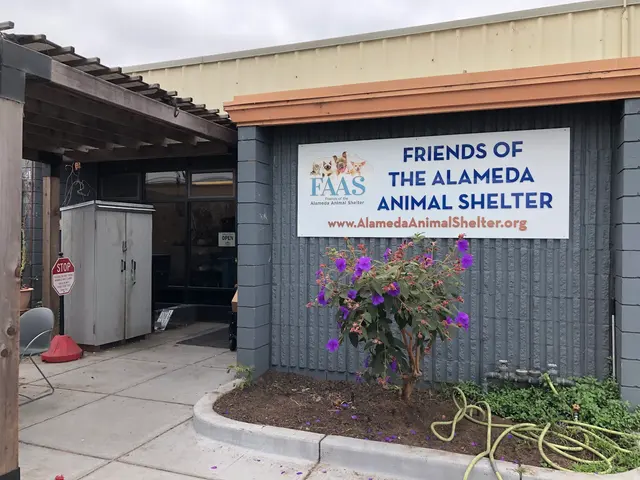 Friends of The Alameda Animal Shelter — customer photo 2