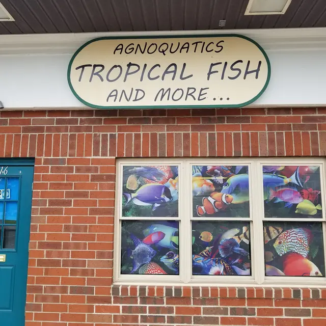 Agnoquatics — photo from the business 1