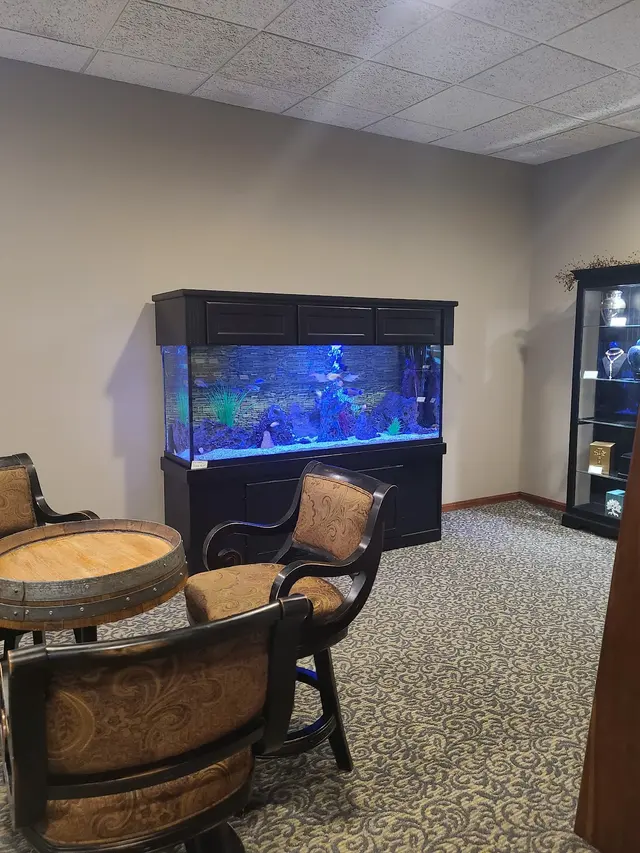 SomethingFishy inc. — photo from the business 6