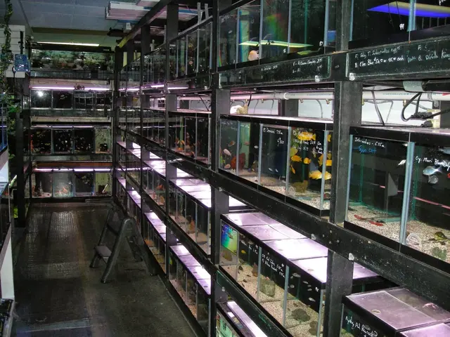 SomethingFishy inc. — photo from the business 2