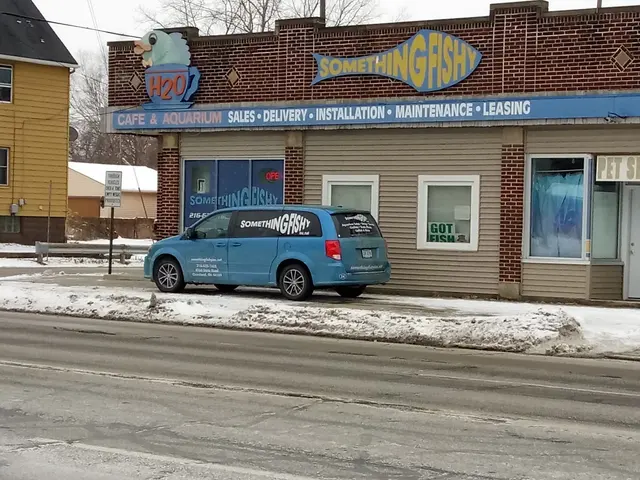 SomethingFishy inc. — customer photo 1
