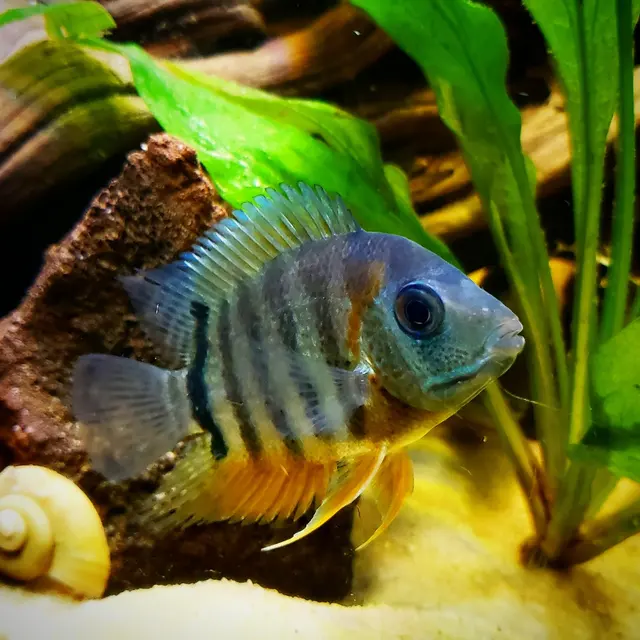 SomethingFishy inc. — customer photo 9