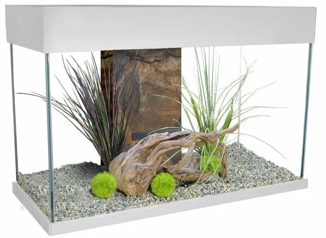 Rift Lake Aquatics — photo from the business 6