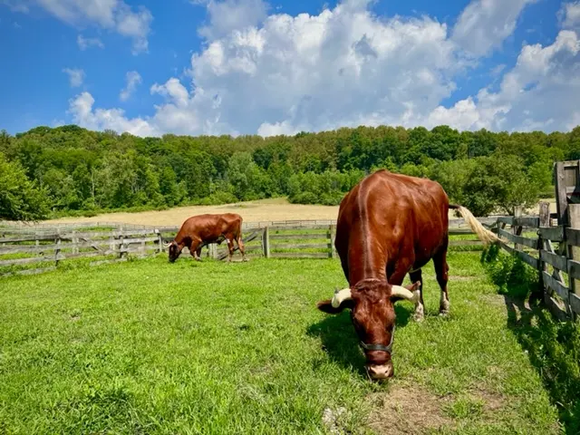 Hale Farm & Village — photo from the business 1