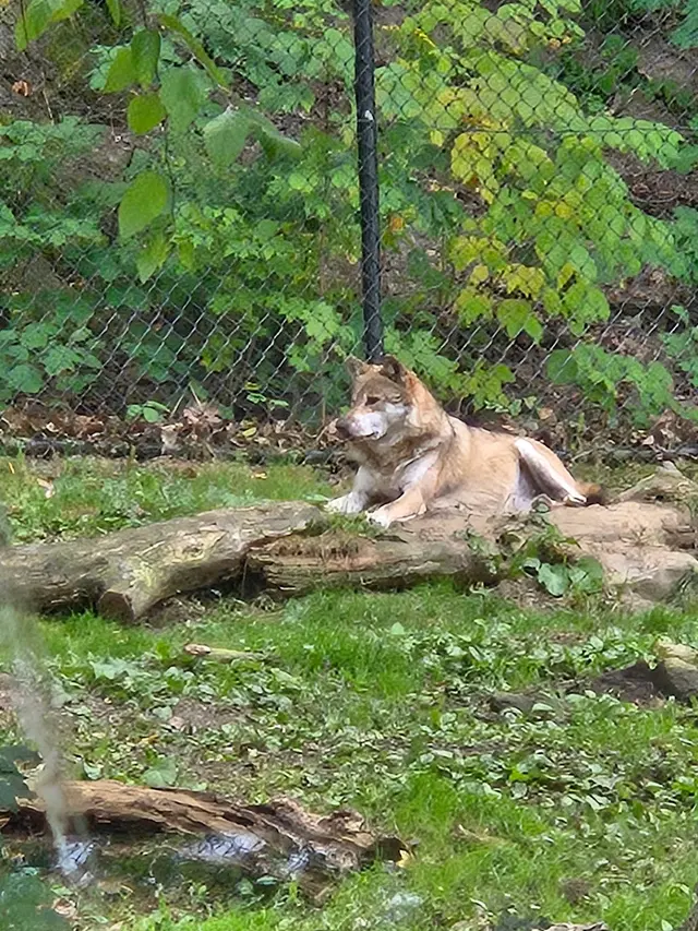 Cleveland Metroparks Zoo — customer photo 5