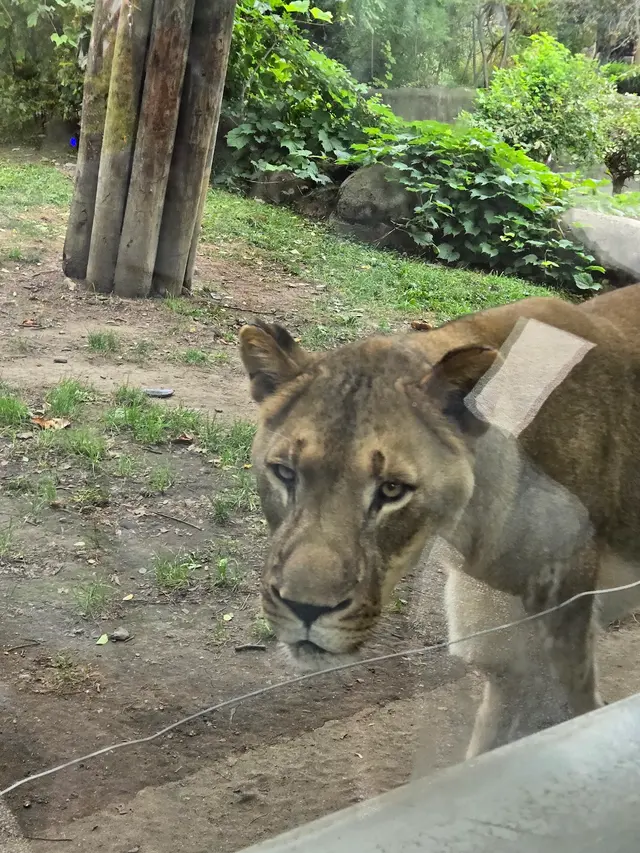Cleveland Metroparks Zoo — customer photo 8