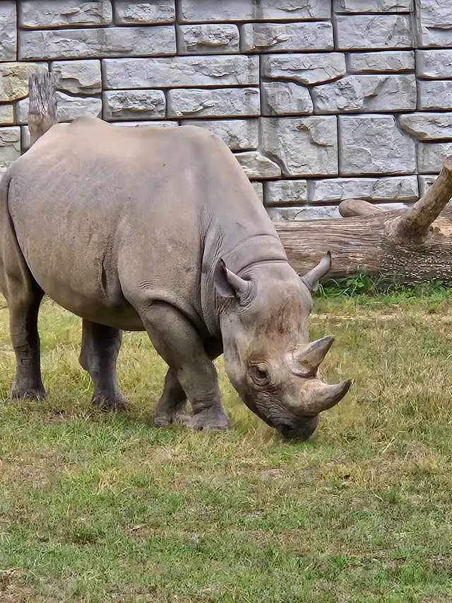 Cleveland Metroparks Zoo — customer photo 7