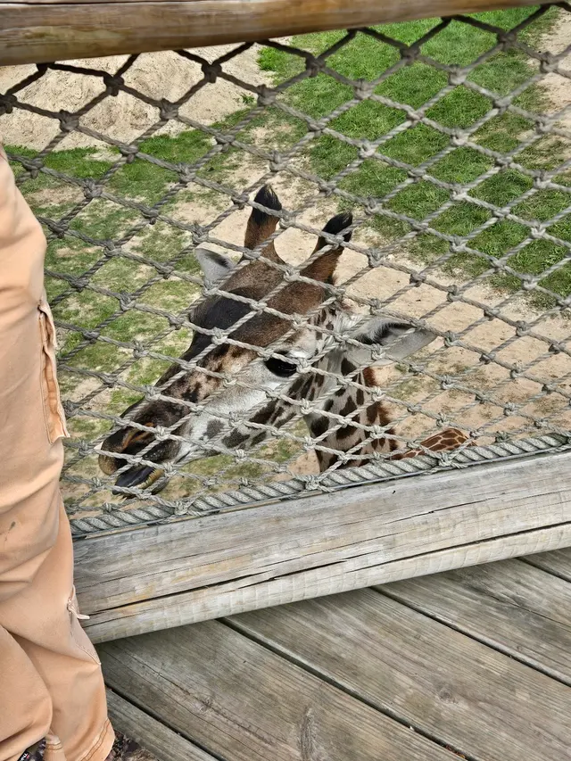 Cleveland Metroparks Zoo — customer photo 4