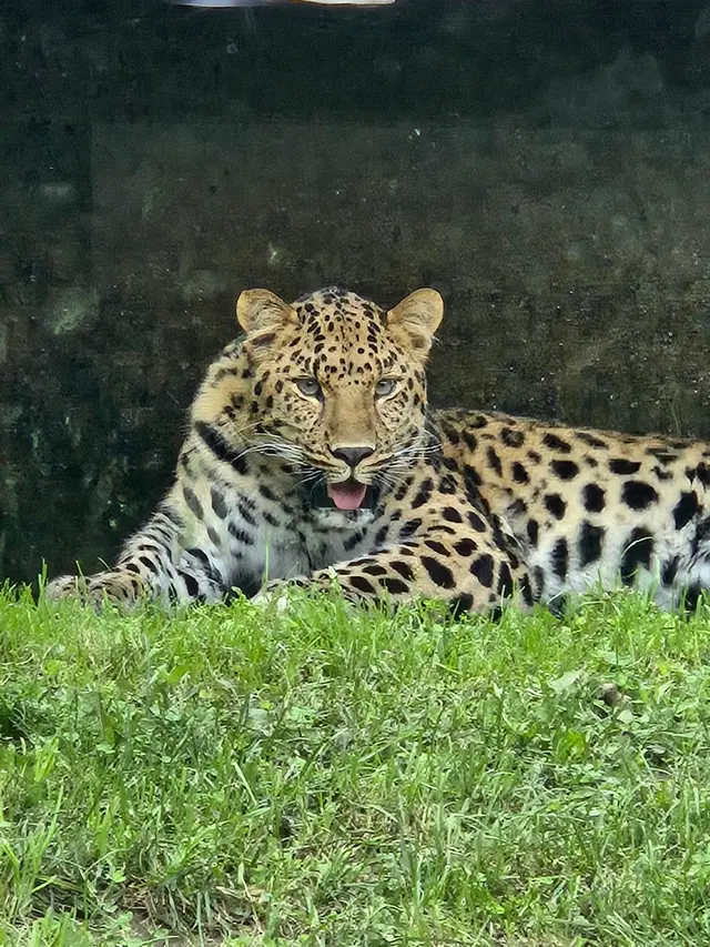 Cleveland Metroparks Zoo — customer photo 3