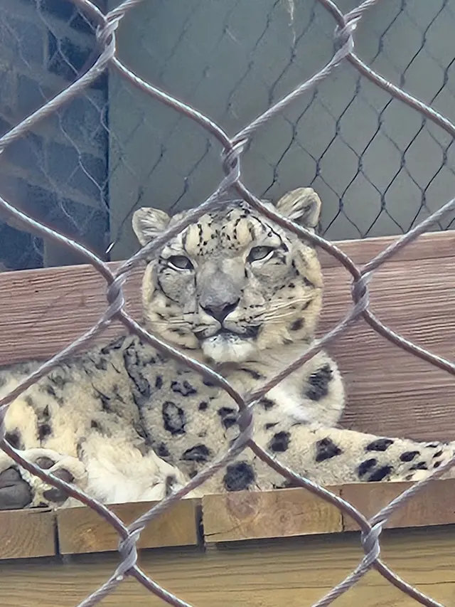 Cleveland Metroparks Zoo — customer photo 2