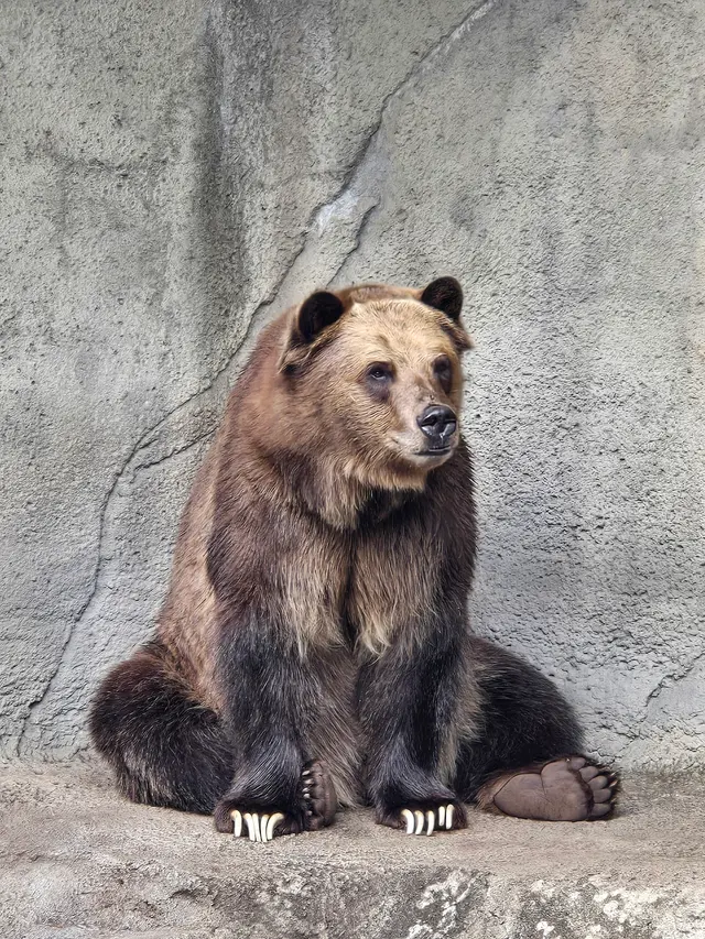 Cleveland Metroparks Zoo — customer photo 1