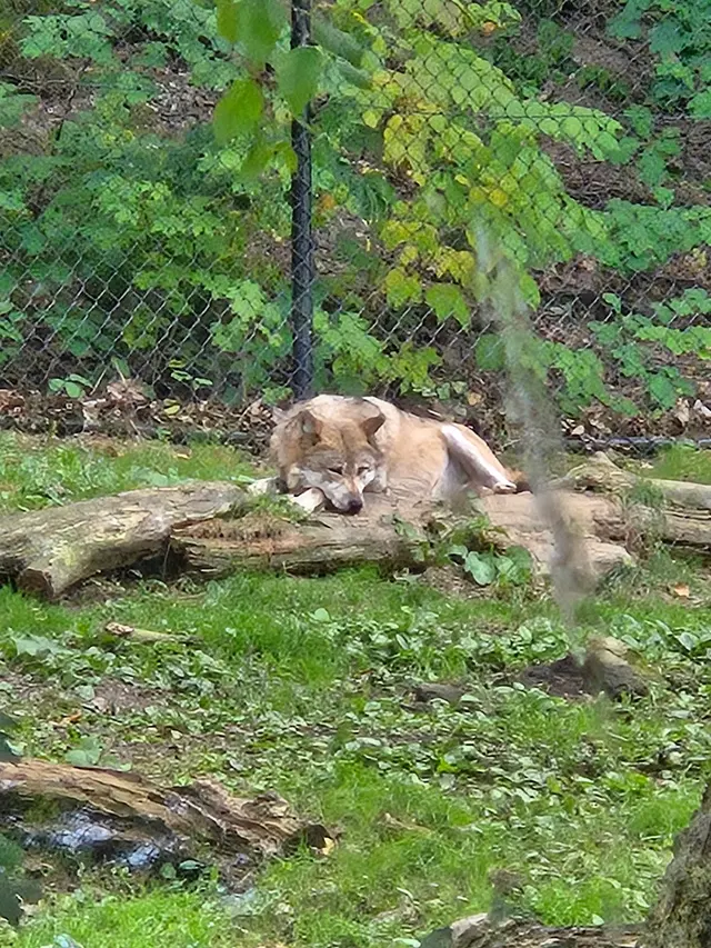 Cleveland Metroparks Zoo — customer photo 6
