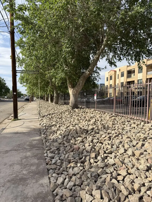 RM Landscaping and Bobcat Services — photo from the business 4
