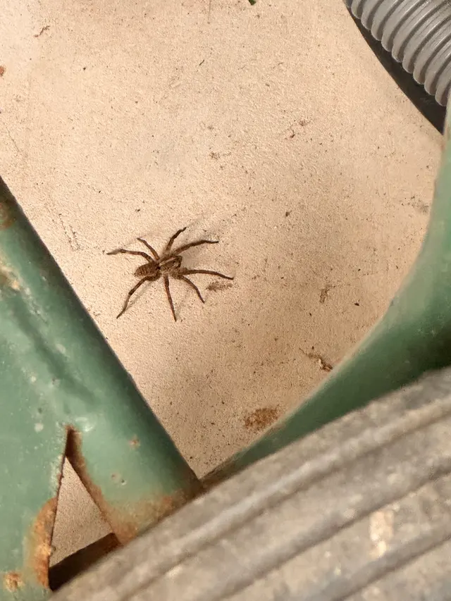 EnviroGuard Pest Control — customer photo 7