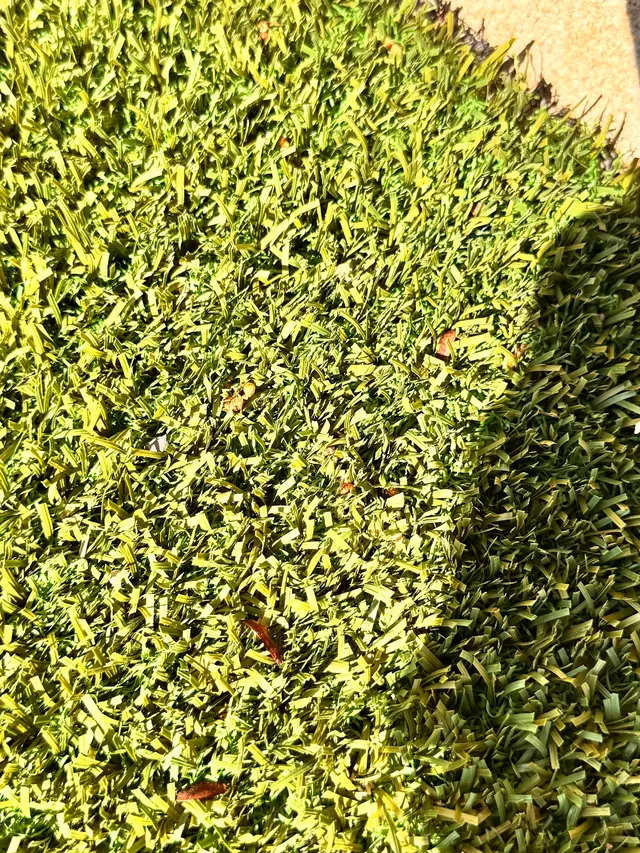 EnviroGuard Pest Control — customer photo 1