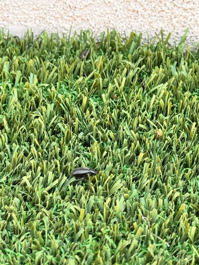 EnviroGuard Pest Control — customer photo 4