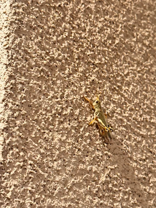 EnviroGuard Pest Control — customer photo 12