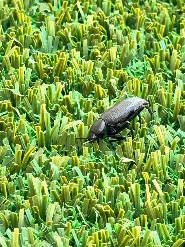 EnviroGuard Pest Control — customer photo 11