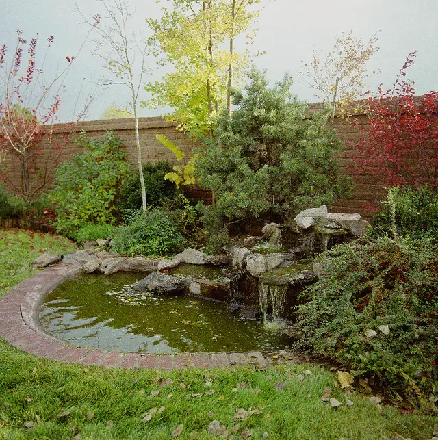 Shelly Landscaping — photo from the business 12