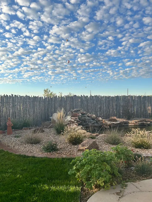 Shelly Landscaping — customer photo 4