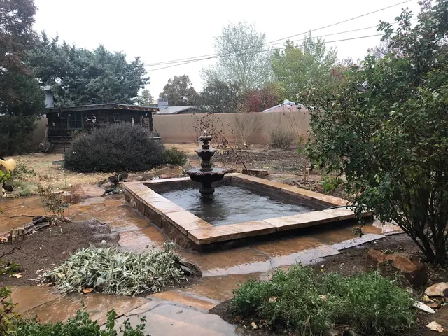 Shelly Landscaping — customer photo 5