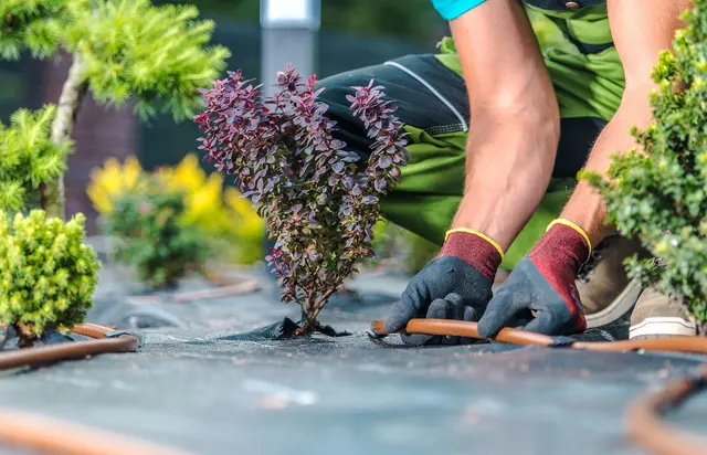 ASAP Sands Outdoor Services — photo from the business 8